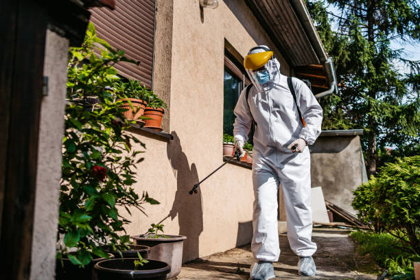 Best Affordable Pest Control Services  in Yorkville, WI