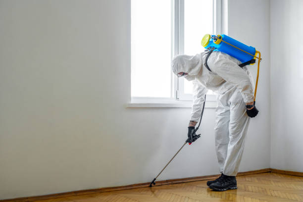 Best Emergency Pest Control  in Yorkville, WI