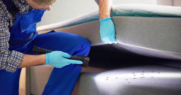 Best Rat Extermination Near Me  in Yorkville, WI