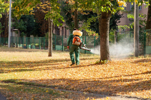Best Cockroach Control Services  in Yorkville, WI