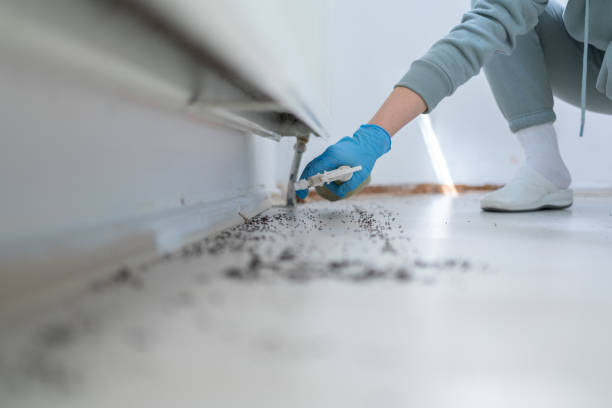 Best Pest Control for Businesses  in Yorkville, WI