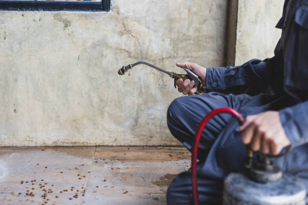 Best Pest Control Near Me  in Yorkville, WI